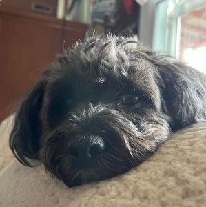 Meet your Posher, Teresa